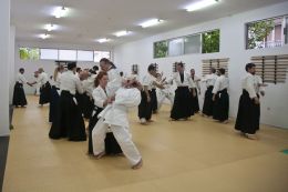 ../resources/photos/aikido/urban_seminar_May14/photos/urban_seminar_May14_12.jpg