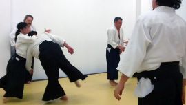 ../resources/photos/aikido/urban_seminar_May18/photos/urban_may18_0004.jpg
